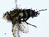  ( - CBG-A02904-G10)  @11 [ ] CreativeCommons - Attribution (2023) CBG Photography Group Centre for Biodiversity Genomics