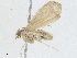  ( - CBG-A02906-B04)  @11 [ ] CreativeCommons - Attribution (2023) CBG Photography Group Centre for Biodiversity Genomics