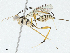  ( - CBG-A02906-H08)  @11 [ ] CreativeCommons - Attribution (2023) CBG Photography Group Centre for Biodiversity Genomics