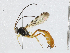  ( - CBG-A02907-A06)  @11 [ ] CreativeCommons - Attribution (2023) CBG Photography Group Centre for Biodiversity Genomics