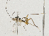  ( - CBG-A02907-B01)  @11 [ ] CreativeCommons - Attribution (2023) CBG Photography Group Centre for Biodiversity Genomics