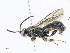  ( - CBG-A02908-C06)  @11 [ ] CreativeCommons - Attribution (2023) CBG Photography Group Centre for Biodiversity Genomics