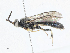  ( - CBG-A02908-D08)  @11 [ ] CreativeCommons - Attribution (2023) CBG Photography Group Centre for Biodiversity Genomics