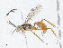  ( - CBG-A02908-E11)  @11 [ ] CreativeCommons - Attribution (2023) CBG Photography Group Centre for Biodiversity Genomics