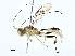  ( - CBG-A01235-B08)  @11 [ ] CreativeCommons - Attribution (2023) CBG Photography Group Centre for Biodiversity Genomics