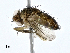 ( - CBG-A01235-C04)  @11 [ ] CreativeCommons - Attribution (2023) CBG Photography Group Centre for Biodiversity Genomics