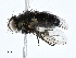  ( - CBG-A01235-D05)  @11 [ ] CreativeCommons - Attribution (2023) CBG Photography Group Centre for Biodiversity Genomics