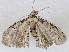  ( - CBG-A02857-F03)  @11 [ ] CreativeCommons - Attribution (2023) CBG Photography Group Centre for Biodiversity Genomics