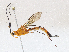  ( - CBG-A02857-G05)  @11 [ ] CreativeCommons - Attribution (2023) CBG Photography Group Centre for Biodiversity Genomics