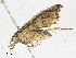  ( - CBG-A02858-E07)  @11 [ ] CreativeCommons - Attribution (2023) CBG Photography Group Centre for Biodiversity Genomics