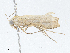  ( - CBG-A04470-F10)  @11 [ ] CreativeCommons - Attribution (2023) CBG Photography Group Centre for Biodiversity Genomics