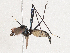  ( - CBG-A04472-B12)  @11 [ ] CreativeCommons - Attribution (2023) CBG Photography Group Centre for Biodiversity Genomics