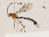  ( - CBG-A04472-F07)  @11 [ ] CreativeCommons - Attribution (2023) CBG Photography Group Centre for Biodiversity Genomics