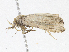  ( - CBG-A04473-E10)  @11 [ ] CreativeCommons - Attribution (2023) CBG Photography Group Centre for Biodiversity Genomics