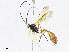  ( - CBG-A04474-C03)  @11 [ ] CreativeCommons - Attribution (2023) CBG Photography Group Centre for Biodiversity Genomics