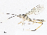  ( - CBG-A04474-D02)  @11 [ ] CreativeCommons - Attribution (2023) CBG Photography Group Centre for Biodiversity Genomics
