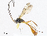  ( - CBG-A04474-D04)  @11 [ ] CreativeCommons - Attribution (2023) CBG Photography Group Centre for Biodiversity Genomics