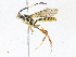  ( - CBG-A04474-E08)  @11 [ ] CreativeCommons - Attribution (2023) CBG Photography Group Centre for Biodiversity Genomics