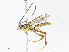  ( - CBG-A04474-E09)  @11 [ ] CreativeCommons - Attribution (2023) CBG Photography Group Centre for Biodiversity Genomics