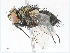  ( - CBG-A06230-G12)  @11 [ ] CreativeCommons - Attribution (2023) CBG Photography Group Centre for Biodiversity Genomics