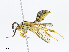  ( - CBG-A07047-C05)  @11 [ ] CreativeCommons - Attribution Share - Alike (2023) CBG Photography Group Centre for Biodiversity Genomics