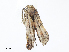  ( - CBG-A07047-C10)  @11 [ ] CreativeCommons - Attribution Share - Alike (2023) CBG Photography Group Centre for Biodiversity Genomics