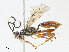  ( - CBG-A08765-F09)  @11 [ ] CreativeCommons - Attribution Share - Alike (2023) CBG Photography Group Centre for Biodiversity Genomics