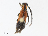  ( - CBG-A08765-F12)  @11 [ ] CreativeCommons - Attribution Share - Alike (2023) CBG Photography Group Centre for Biodiversity Genomics