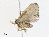  ( - CBG-A10799-A03)  @11 [ ] CreativeCommons - Attribution Share - Alike (2023) CBG Photography Group Centre for Biodiversity Genomics