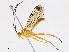  ( - CBG-A10800-E05)  @11 [ ] CreativeCommons - Attribution Share - Alike (2023) CBG Photography Group Centre for Biodiversity Genomics