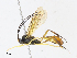  ( - CBG-A10800-E12)  @11 [ ] CreativeCommons - Attribution Share - Alike (2023) CBG Photography Group Centre for Biodiversity Genomics