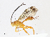  ( - CBG-A10800-F10)  @11 [ ] CreativeCommons - Attribution Share - Alike (2023) CBG Photography Group Centre for Biodiversity Genomics