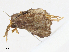 ( - CBG-A10802-D06)  @11 [ ] CreativeCommons - Attribution Share - Alike (2023) CBG Photography Group Centre for Biodiversity Genomics