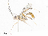  ( - CBG-A10802-H01)  @11 [ ] CreativeCommons - Attribution Share - Alike (2023) CBG Photography Group Centre for Biodiversity Genomics