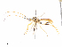  ( - CBG-A10802-H08)  @11 [ ] CreativeCommons - Attribution Share - Alike (2023) CBG Photography Group Centre for Biodiversity Genomics