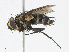  ( - CBG-A13265-D09)  @11 [ ] CreativeCommons - Attribution Share - Alike (2023) CBG Photography Group Centre for Biodiversity Genomics