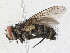  ( - CBG-A02856-B04)  @11 [ ] CreativeCommons - Attribution (2023) CBG Photography Group Centre for Biodiversity Genomics