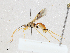  ( - CBG-A02857-E09)  @11 [ ] CreativeCommons - Attribution (2023) CBG Photography Group Centre for Biodiversity Genomics