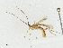  ( - CBG-A04466-H03)  @11 [ ] CreativeCommons - Attribution (2023) CBG Photography Group Centre for Biodiversity Genomics