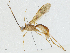  ( - CBG-A04466-H07)  @11 [ ] CreativeCommons - Attribution (2023) CBG Photography Group Centre for Biodiversity Genomics