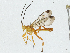  ( - CBG-A04466-H09)  @11 [ ] CreativeCommons - Attribution (2023) CBG Photography Group Centre for Biodiversity Genomics