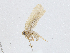  ( - CBG-A04467-D04)  @11 [ ] CreativeCommons - Attribution (2023) CBG Photography Group Centre for Biodiversity Genomics