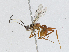  ( - CBG-A04467-E02)  @11 [ ] CreativeCommons - Attribution (2023) CBG Photography Group Centre for Biodiversity Genomics