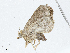  ( - CBG-A04469-F10)  @11 [ ] CreativeCommons - Attribution (2023) CBG Photography Group Centre for Biodiversity Genomics