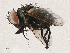  ( - CBG-A04471-C09)  @11 [ ] CreativeCommons - Attribution (2023) CBG Photography Group Centre for Biodiversity Genomics