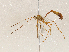  ( - CBG-A04471-E04)  @11 [ ] CreativeCommons - Attribution (2023) CBG Photography Group Centre for Biodiversity Genomics