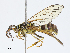  ( - CBG-A04588-A08)  @11 [ ] CreativeCommons - Attribution (2023) CBG Photography Group Centre for Biodiversity Genomics