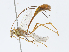  ( - CBG-A04588-A10)  @11 [ ] CreativeCommons - Attribution (2023) CBG Photography Group Centre for Biodiversity Genomics