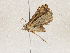  ( - CBG-A04589-B10)  @11 [ ] CreativeCommons - Attribution (2023) CBG Photography Group Centre for Biodiversity Genomics