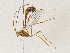  ( - CBG-A04589-C11)  @11 [ ] CreativeCommons - Attribution (2023) CBG Photography Group Centre for Biodiversity Genomics